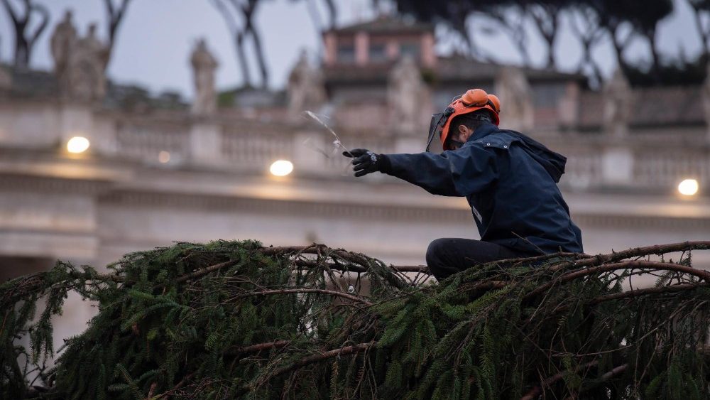 Калядная елка на плошчы Святога Пятра ў Ватыкане