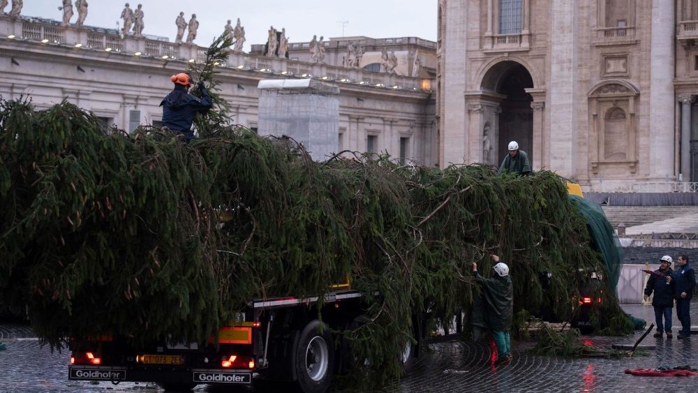 Калядная елка на плошчы Святога Пятра ў Ватыкане
