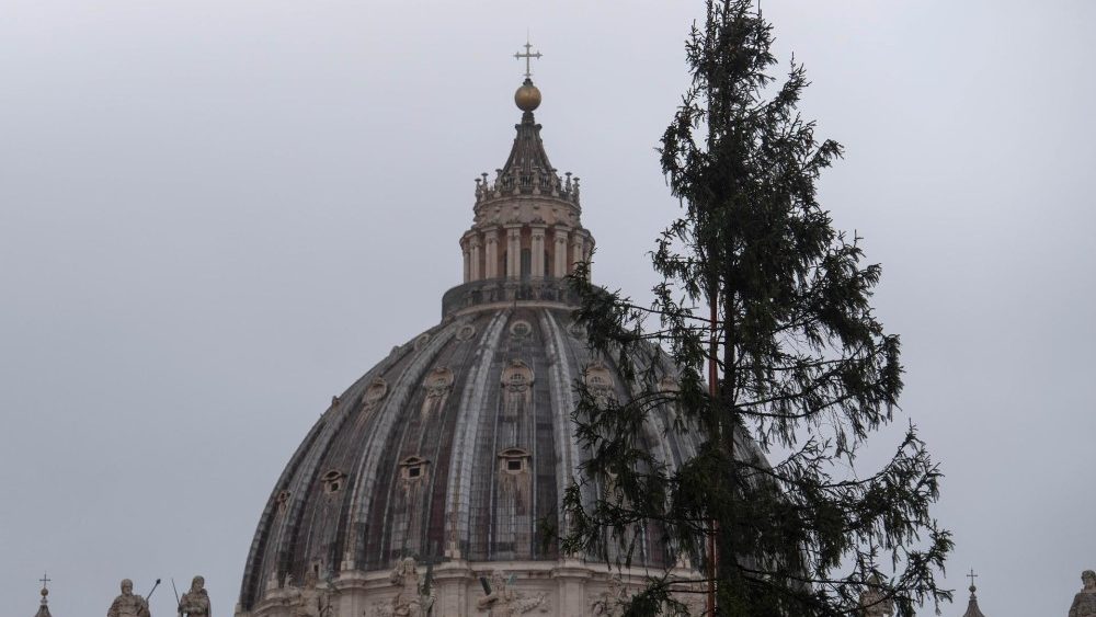 Калядная елка на плошчы Святога Пятра ў Ватыкане