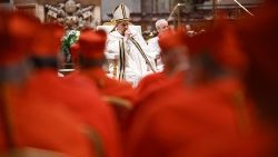 Popiežius ir kardinolai 2024 m. grudožio 7 d.