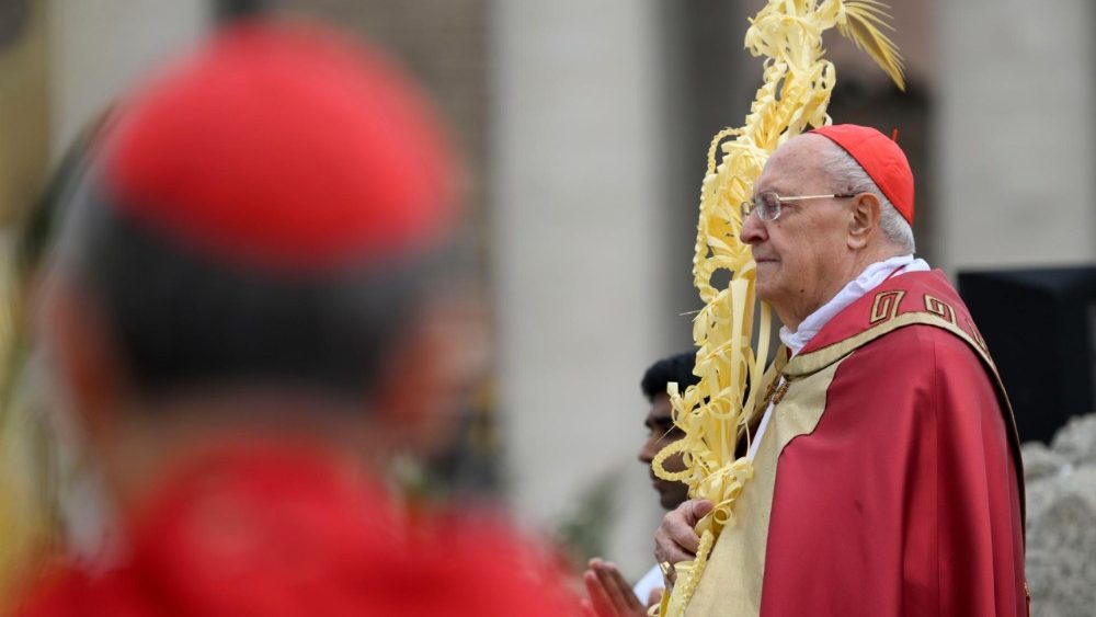 2025.04.13 Domenica delle Palme: Passione del Signore â   Commemorazione dellâ  ingresso del Signore in Gerusalemme e Santa Messa