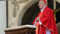 2025.04.13 Domenica delle Palme: Passione del Signore â   Commemorazione dellâ  ingresso del Signore in Gerusalemme e Santa Messa