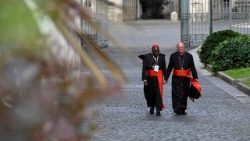 2025.04.28 5Â° Congregazione Cardinali