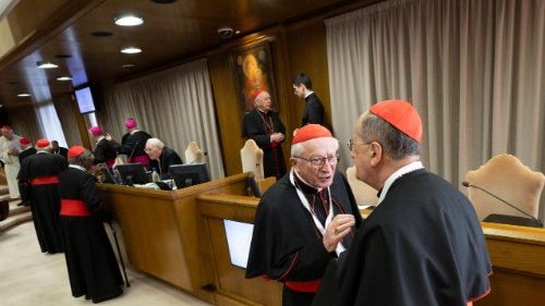 Կարդինալական պաընտիր նախապատրաստական եօթներորդ միաբանական ժողովը