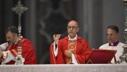 Kard. Fernández na Mszy za Papieża Franciszka