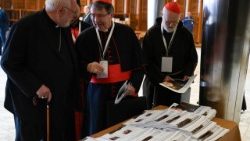 Ein bisschen Lektüre für die Generalkongregationsteilnehmer