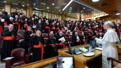 Stretnutie s kardinálmi