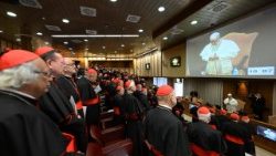 Múlt év június 10-én már találkozott a bíborosokkal egy rendes konzisztóriumon 