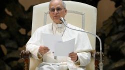 Papież podczas audiencji