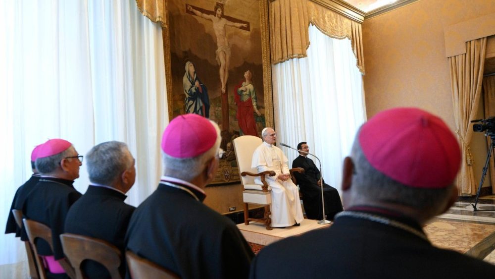 Аўдыенцыя для дэлегацыі дыяцэзіі Чыклая