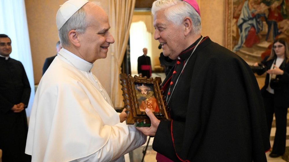 Аўдыенцыя для дэлегацыі дыяцэзіі Чыклая