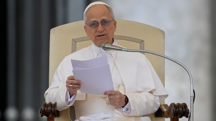 Papa Leo XIV katika moja ya Katekesi zake