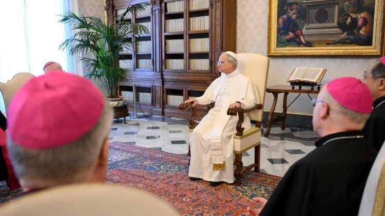 Z&aacute;běr z audience