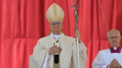 XIV. Leó pápa a Regina Coeli elimádkozásakor a családok jubileumi szentmiséje után