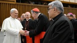 2025.06.09 परमधर्मपीठ की जुबली के दौरान वाटिकन के प्रतिनिधियों से मुलाकात करते संत पापा लियो 14वें