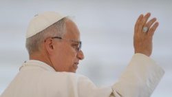 Påven Franciskus under den allmänna audiensen 