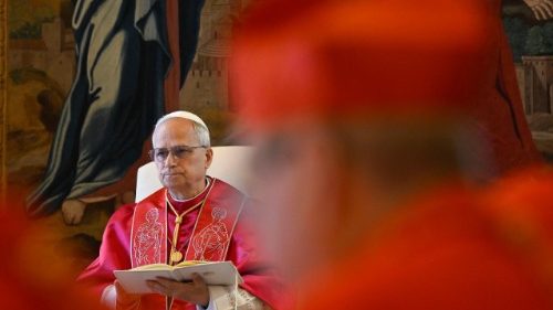 Papa convoca primeiro Consist&oacute;rio extraordin&aacute;rio do seu pontificado