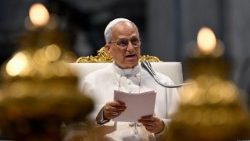 2025.06.14 Udienza Giubilare