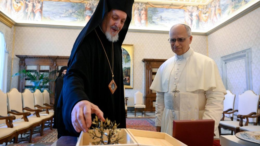 Papa Leão XIV durante o encontro com a Delegação do Patriarcado Ecumênico