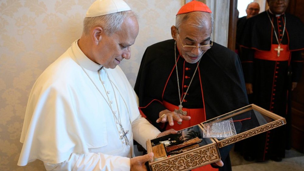 La Leon al XIV-lea, cardinalii Jaime Spengler, Filipe Neri Antonio Sebastiao do Rosario Ferrao, Fridolin Ambongo Besungu, alături de monseniorii Lizardo Estrada Herrera și Josef Sayer. 