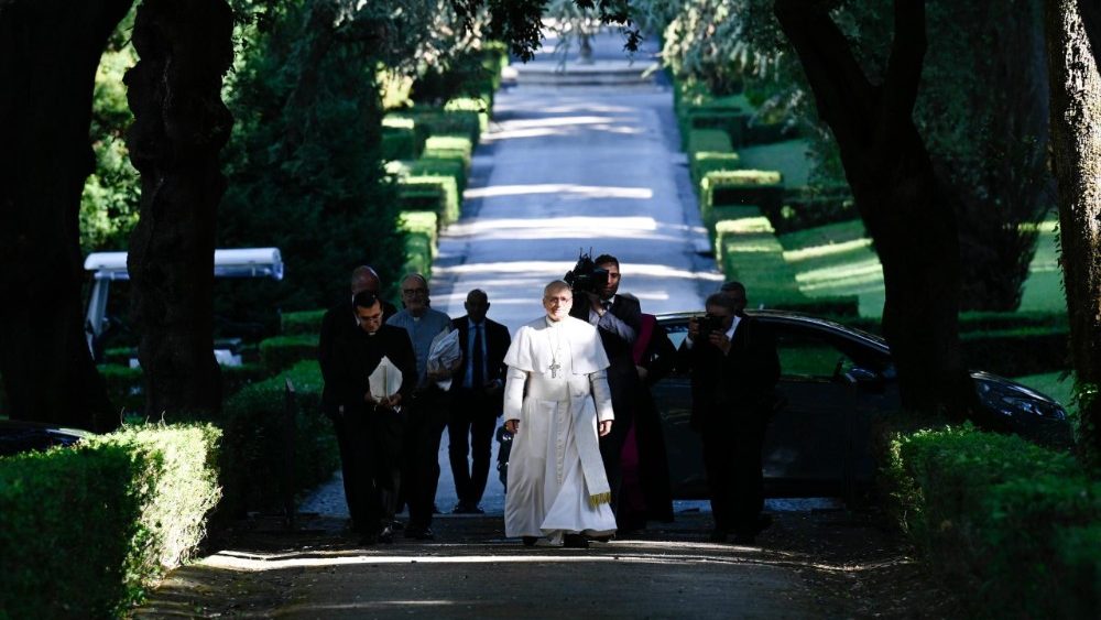 2025.07.09 Santa Messa per la Custodia della Creazione