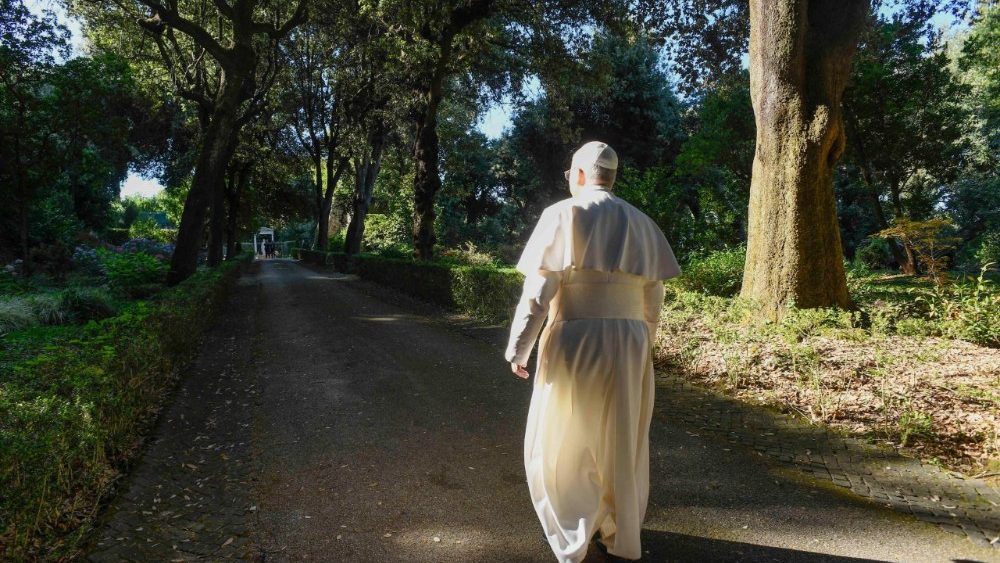 2025.07.09 Santa Messa per la Custodia della Creazione