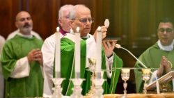 2025.07.20 Santa Messa presso la Cattedrale di San Pancrazio - Albano