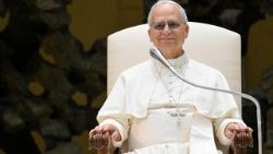 2025.08.13 Udienza Generale