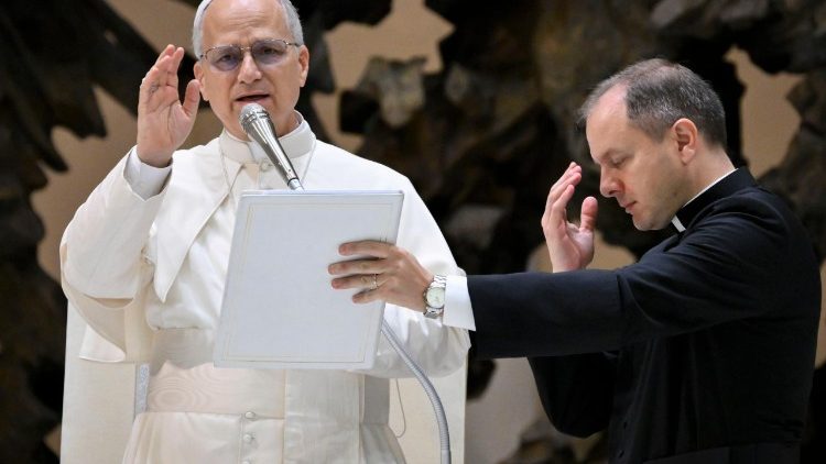 Pope Leo blesses pilgrims at the weekly General Audience