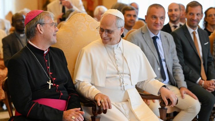 папата на аудиенцията