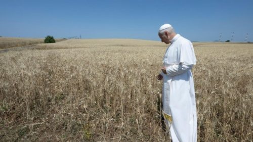 Entra en vigor el acuerdo entre la Santa Sede e Italia para una planta agrovoltaica