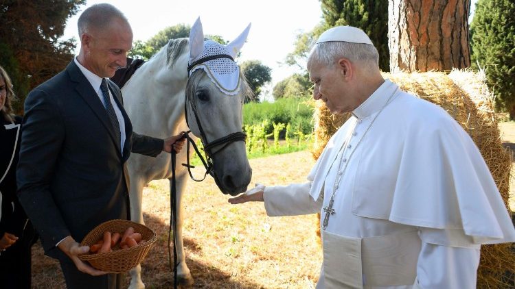 Il Papa accarezza un cavallo bianco