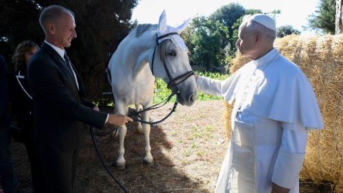 Borgo Laudato si' - piękno Boga w harmonii człowieka i natury