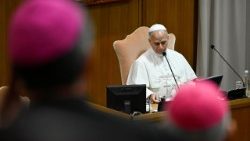 Die Audienz im Vatikan