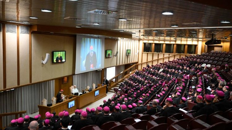 Maaskofu wa kozi ya Malezi wamekutana na Papa