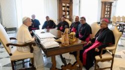 O Papa Leão XIV com uma delegação de bispos bolivianos no Vaticano