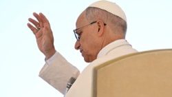 Papa Leon al XIV-lea la cateheza audienței jubiliare de sâmbătă, 4 octombrie 2025. 