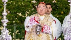 il cardinale Tarcisius Isao Kikuchi, arcivescovo di Tokyo e segretario generale della Federazione delle Conferenze dei Vescovi dell’Asia (FABC)