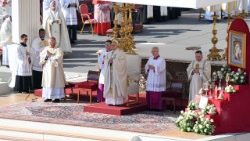 البابا: القديسون هم شهود لمحبة المسيح! 