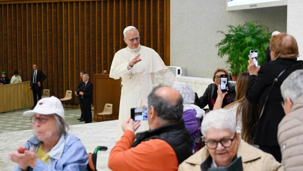 La Leon al XIV-lea, pelerinii veniți la Roma cu ocazia canonizării a șapte fericiți