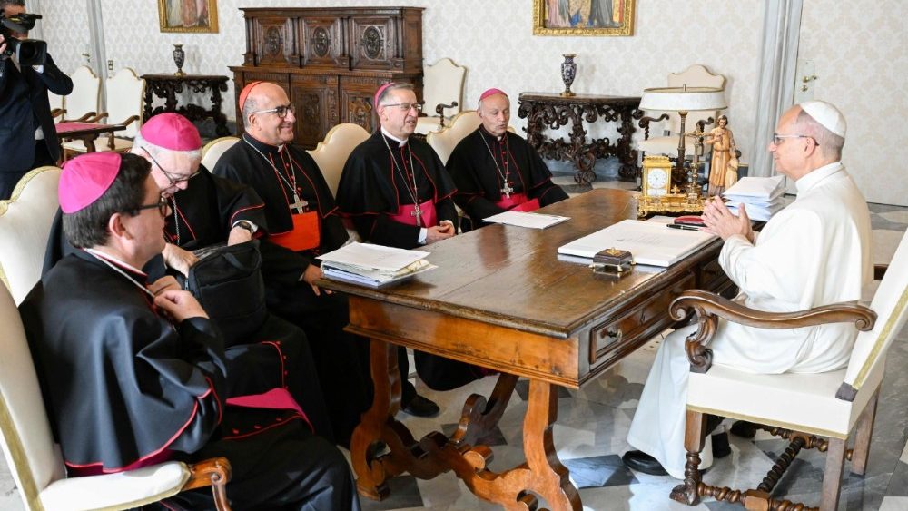 Leon XIV și membrii Comitetului permanent al Conferinței episcopale chiliene