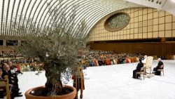 Aniversarea declarației conciliare "Nostra Aetate" în Cetatea Vaticanului