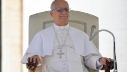 ലിയോ പതിനാലാമൻ പാപ്പാ - പൊതുകൂടിക്കാഴ്ചാസമ്മേളനത്തിൽനിന്നുള്ള ഒരു ചിത്രം