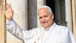 Papież Leon XIV podczas audiencji