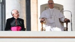 2025.11.08 Udienza Giubilare 