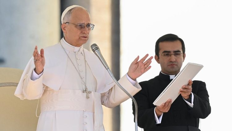 2025.11.12 Udienza Generale