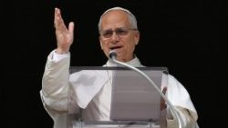 Pope Leo during the Angelus on the World Day of the Poor