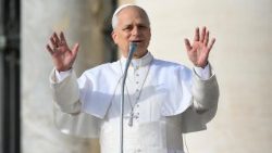 Popiežius Leonas XIV 