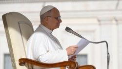 Lapkričio 22 d. Jubiliejaus audiencija Šv. Petro aikštėje