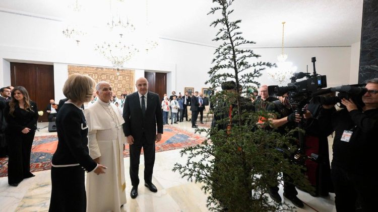 Il piccolo cedro del Libano innaffiato nel Palazzo presidenziale
